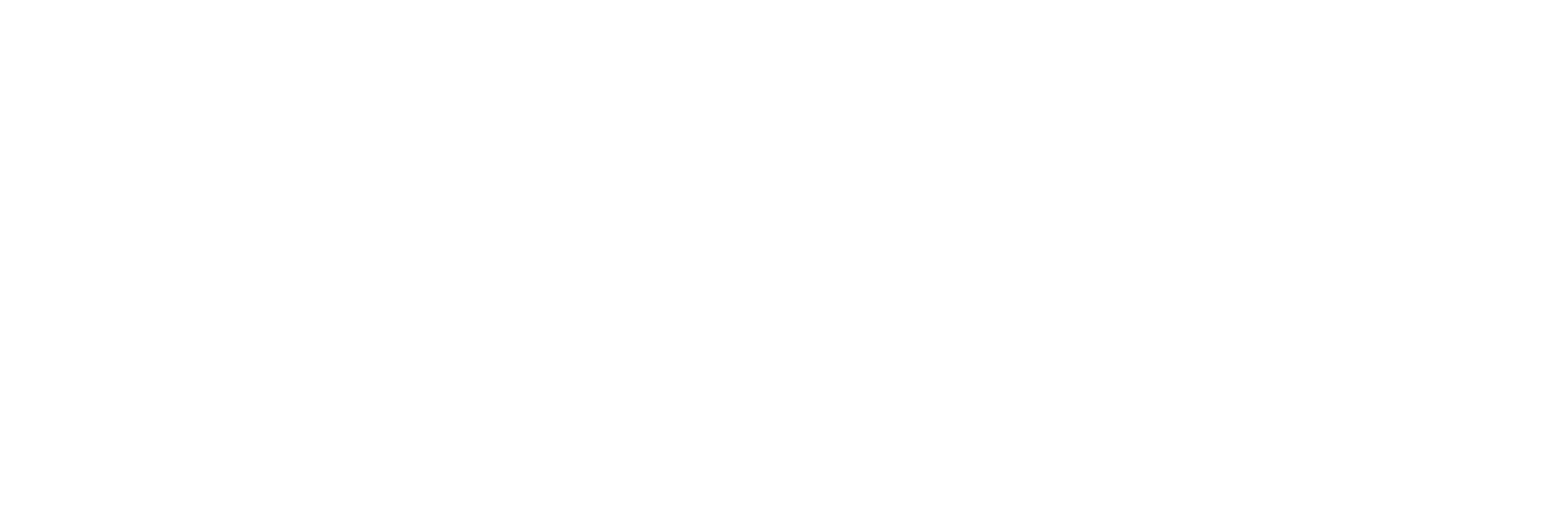 Sbrigata Digital Logo